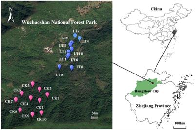 Effects of thinning on the structure of soil microbial communities in a subtropical secondary evergreen broad-leaved forest